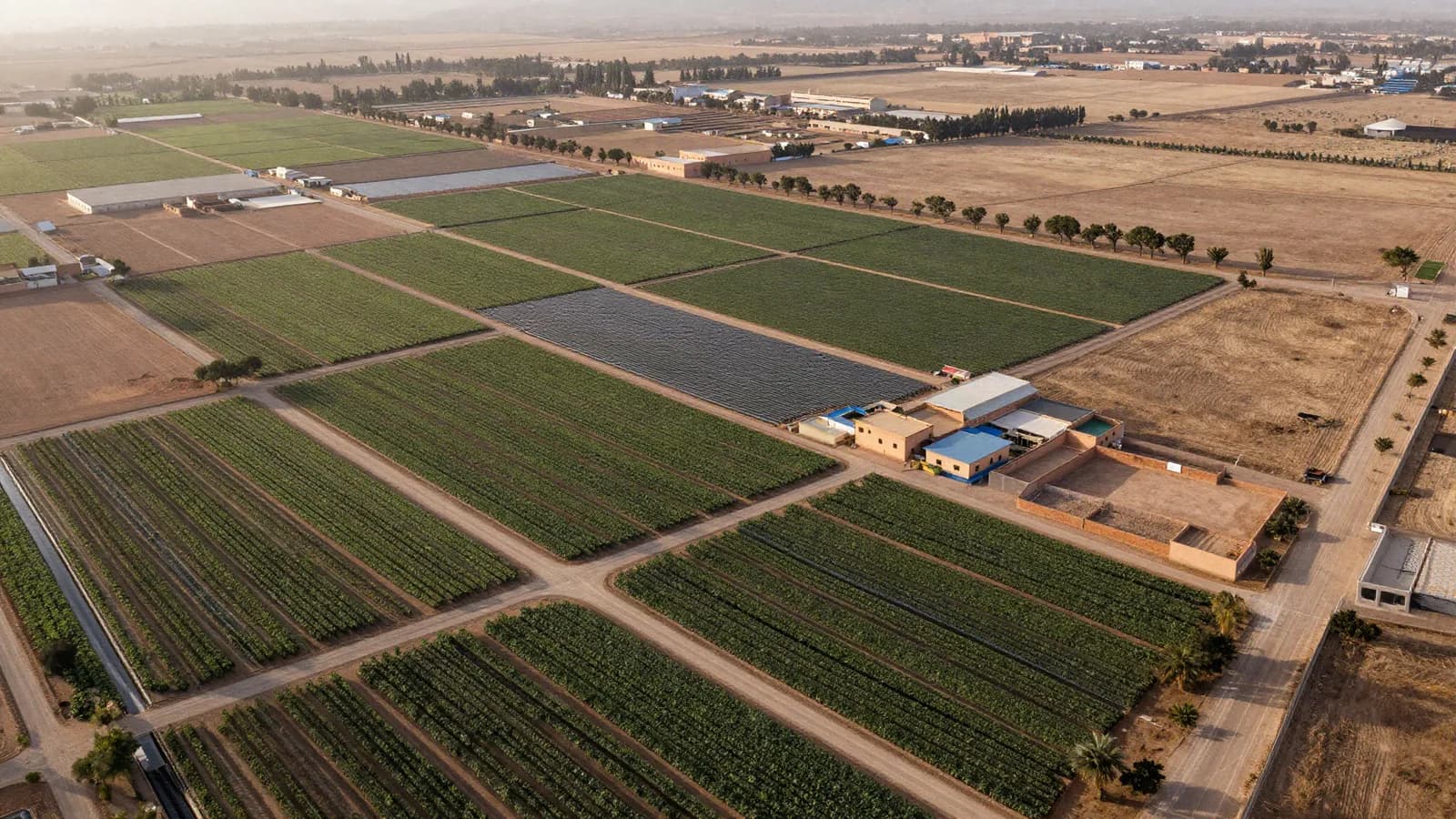 Évaluer un domaine agricole multi-sites au Maroc — valeur foncière vs valeur d'exploitation
