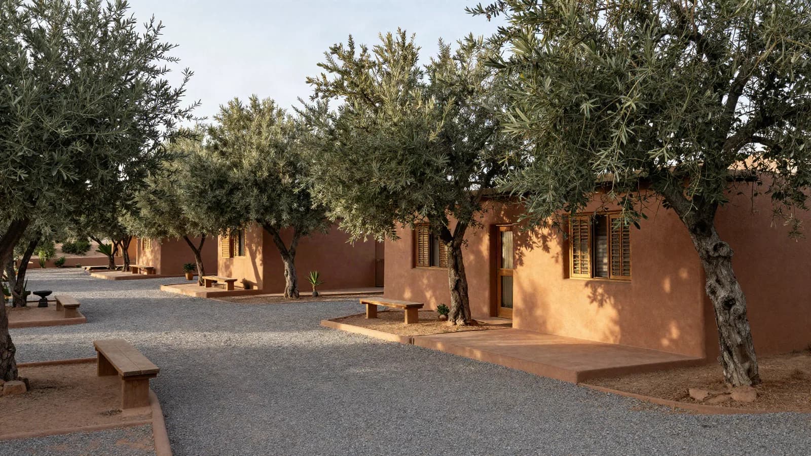 Écolodge de bungalows en terre parmi les oliviers, allée de gravier — expertise d'un hébergement touristique de plein air