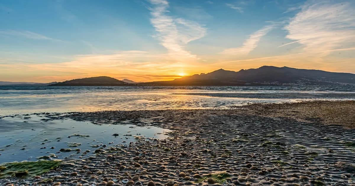 Faire expertiser un bien à Nador — port Nador West Med, lagune de Marchica et bâti de la diaspora
