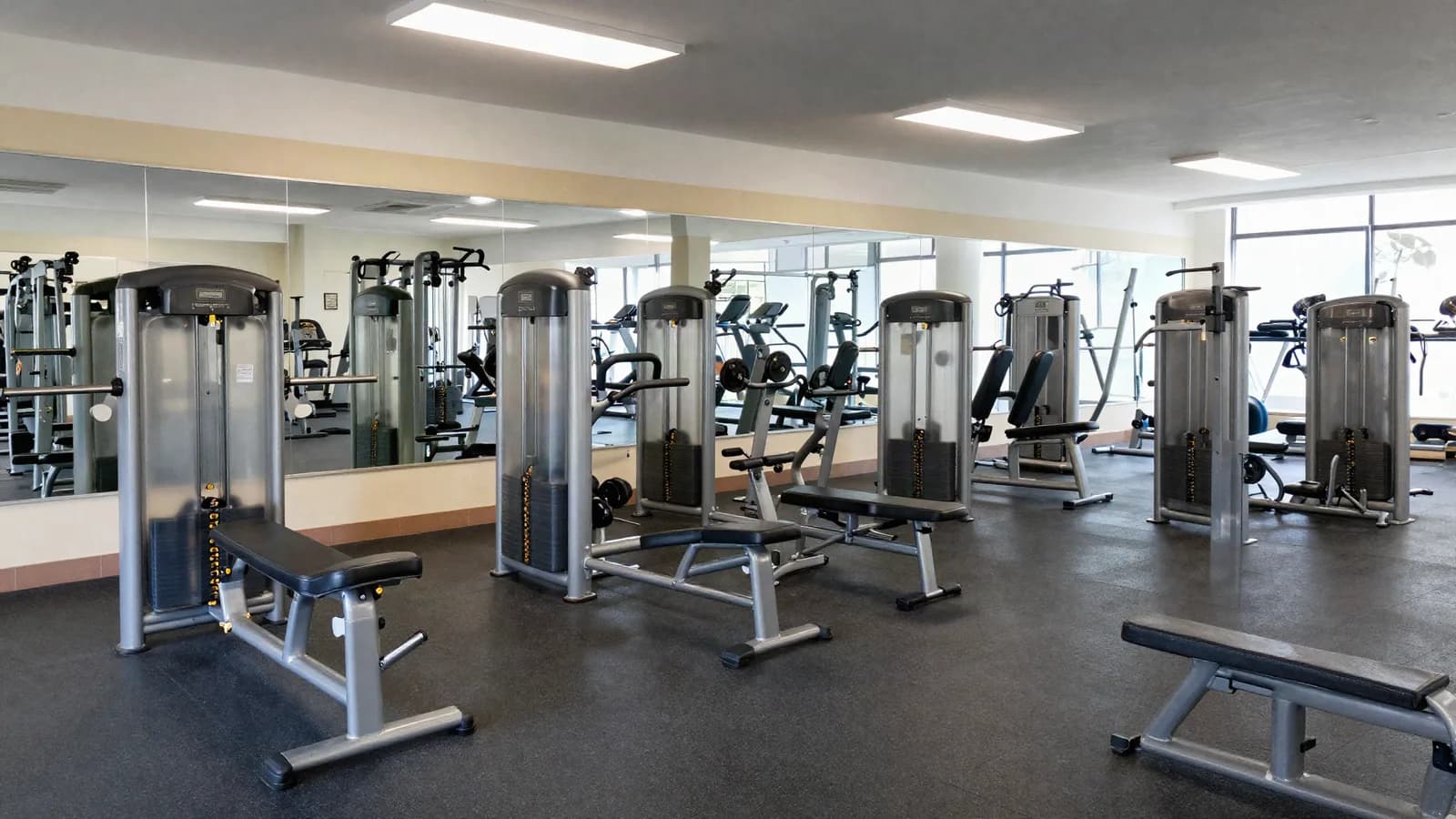 Salle de sport équipée de machines et de miroirs muraux, sol caoutchouc — expertise d'un établissement de fitness
