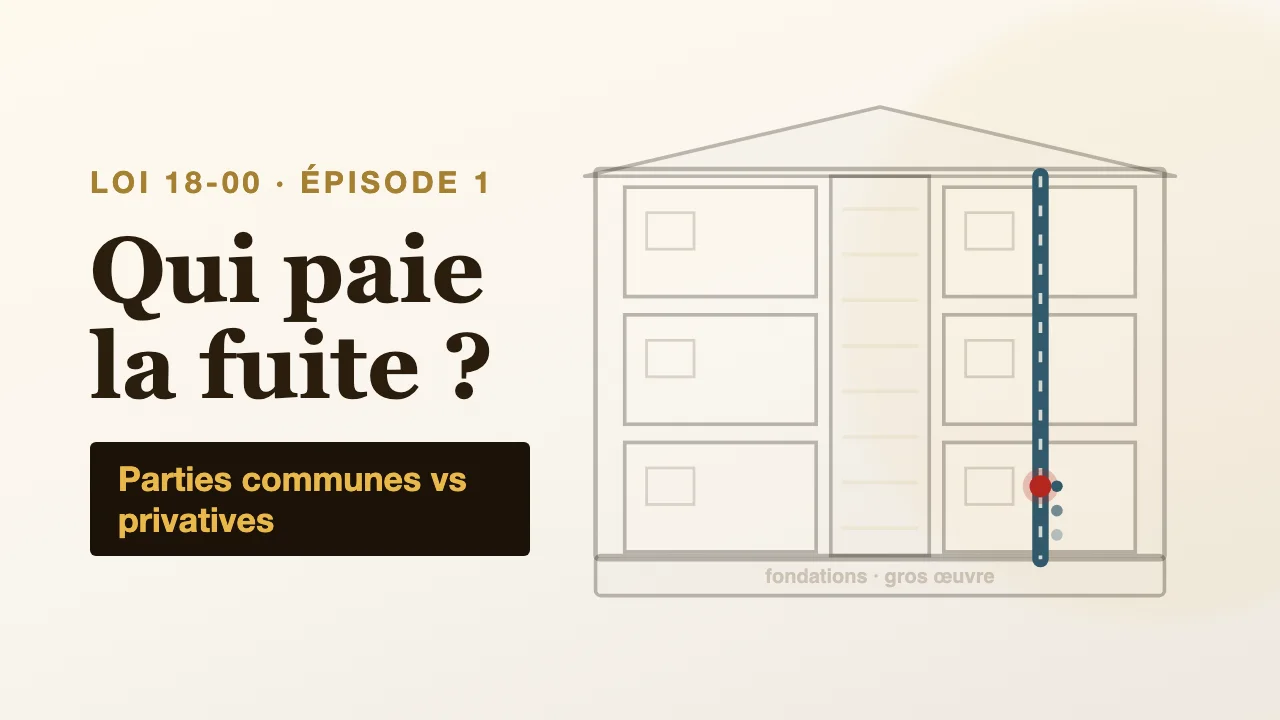 Parties communes ou privatives : qui paie quoi dans votre immeuble ? — Loi 18-00 · articles 2, 3, 4, 6, 20, 21, 22 et 36